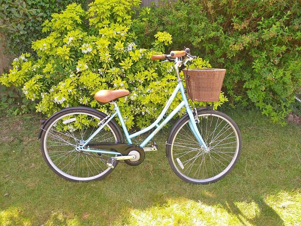 ladies bike gumtree